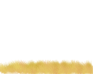 yellowgrass