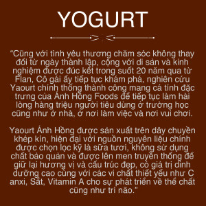 anhhong_product_yogurttext2