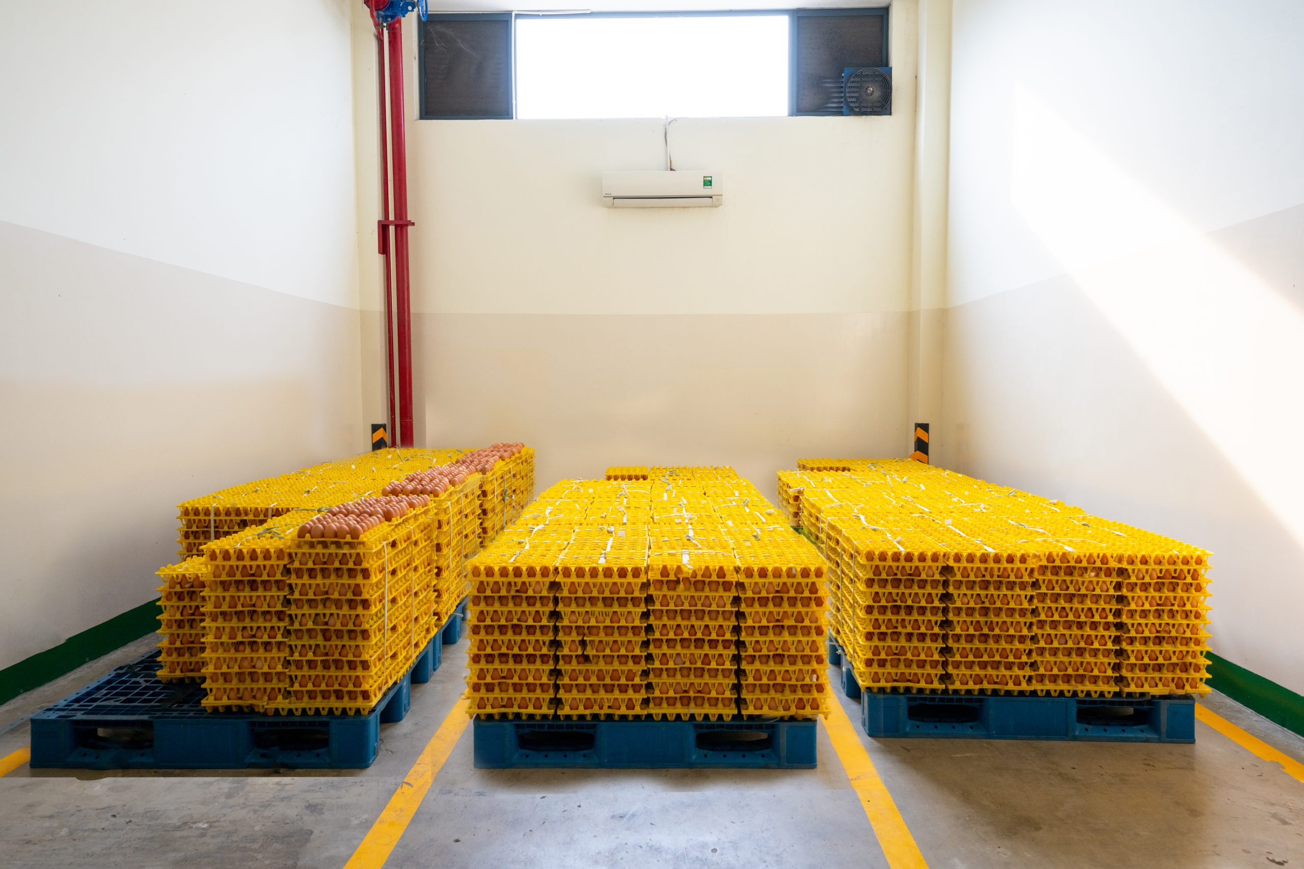 Bánh flan của Ánh Hồng được sản xuất đạt chuẩn ISO và HACCP